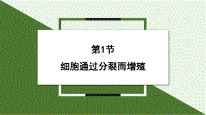 3.1 细胞通过分裂而增殖 ppt课件- -2024新北师大版七年级上册《生物》.pptx