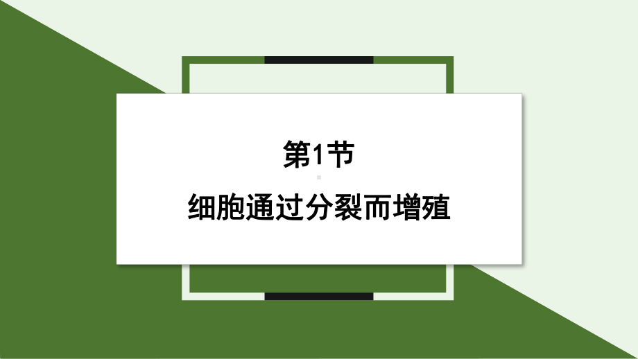 3.1 细胞通过分裂而增殖 ppt课件- -2024新北师大版七年级上册《生物》.pptx_第1页