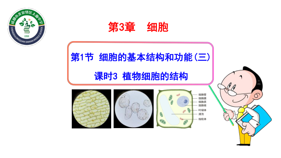 2.1.3植物细胞的结构ppt课件 -2024新北师大版七年级上册《生物》.pptx_第1页