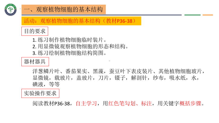 2.1.3植物细胞的结构ppt课件 -2024新北师大版七年级上册《生物》.pptx_第3页