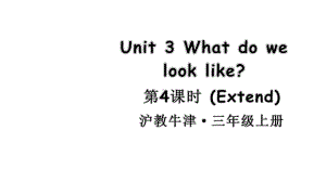 Unit 3 What do we look like 第4课时 Extend（ppt课件） (共19张PPT)-2024新沪教版（三起）三年级上册《英语》.pptx