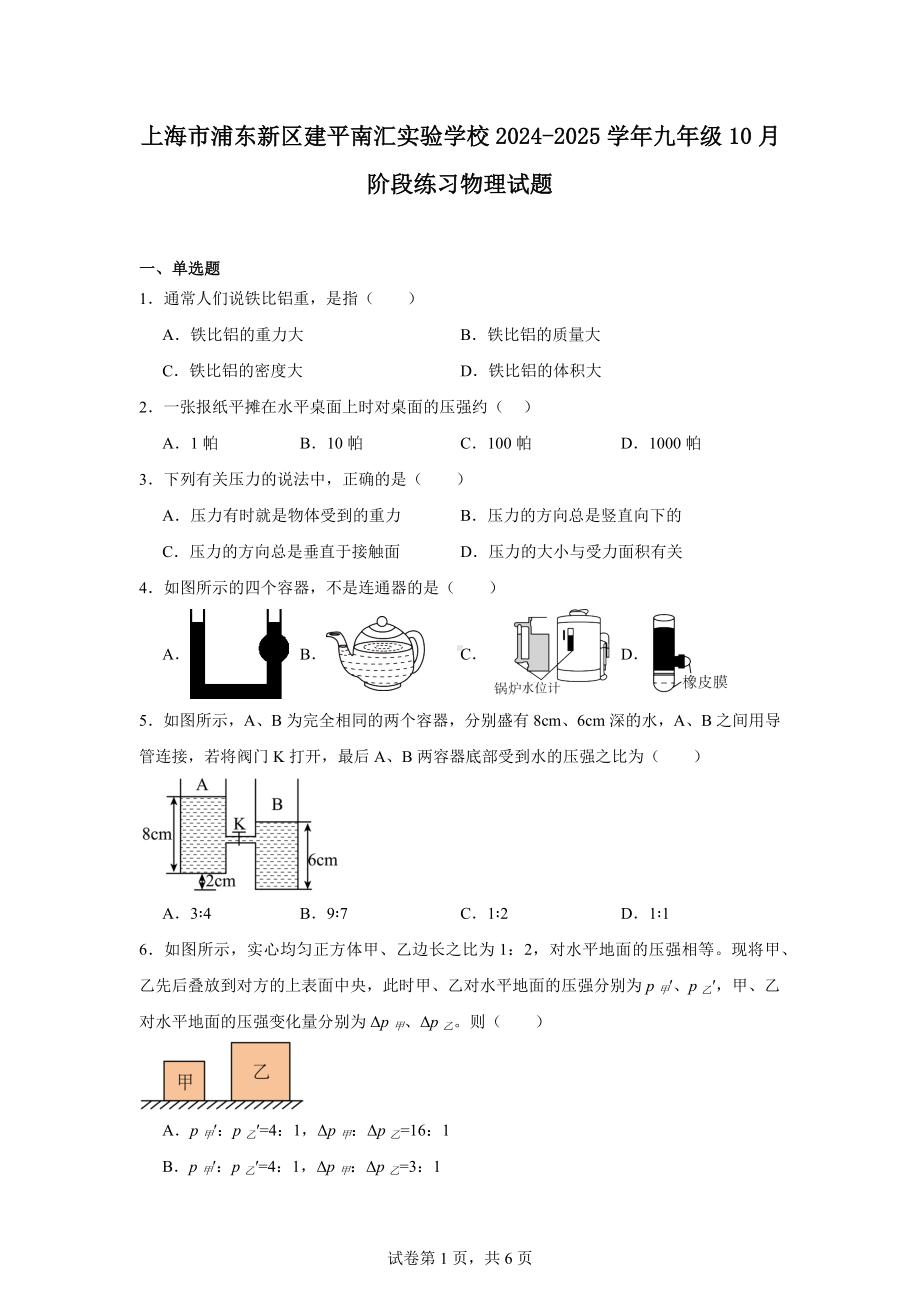 上海市浦东新区建平南汇实验学校2024-2025学年九年级10月阶段练习物理试题.docx_第1页