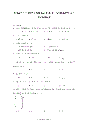 贵州省毕节市七星关区某校2024-2025学年八年级上学期10月测试数学试题.pdf