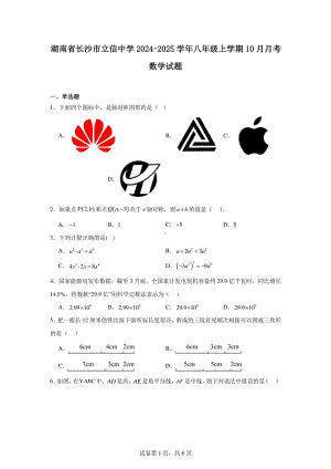 湖南省长沙市立信中学2024-2025学年八年级上学期10月月考数学试题.pdf