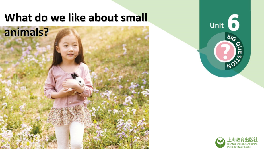 Unit 6 What do we like about small animals_ （ppt课件+素材）(共47张PPT)-2024新沪教版（三起）三年级上册《英语》.rar