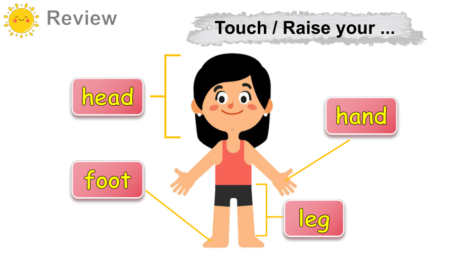 Unit 6 Touch your head 第2课时 Part C-E （ppt课件） (共22张PPT)-2024新湘少版三年级上册《英语》.pptx_第2页