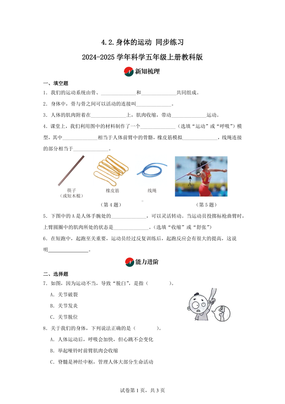 4.2.身体的运动同步练习-2024-2025学年科学五年级上册教科版.docx_第1页