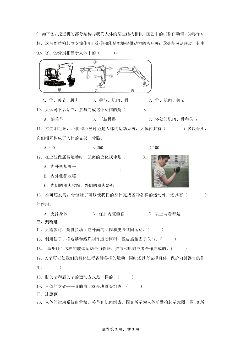 4.2.身体的运动同步练习-2024-2025学年科学五年级上册教科版.docx_第2页