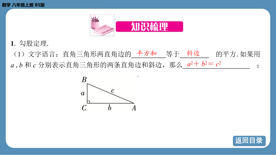 2024-2025学年度北师版八年级上册数学-期末复习课一（第一章 勾股定理）（课件）.pptx_第3页