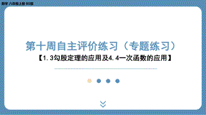 2024-2025学年度北师版八年级上册数学-第十周自主评价练习（课件）.pptx