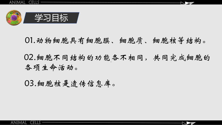 1.1.2动物细胞的结构与功能ppt课件 -2024新苏教版七年级上册《生物》.pptx_第2页