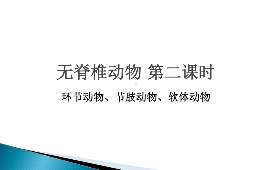 15无脊椎动物 第二课时ppt课件-2024新苏教版七年级上册《生物》.pptx_第1页