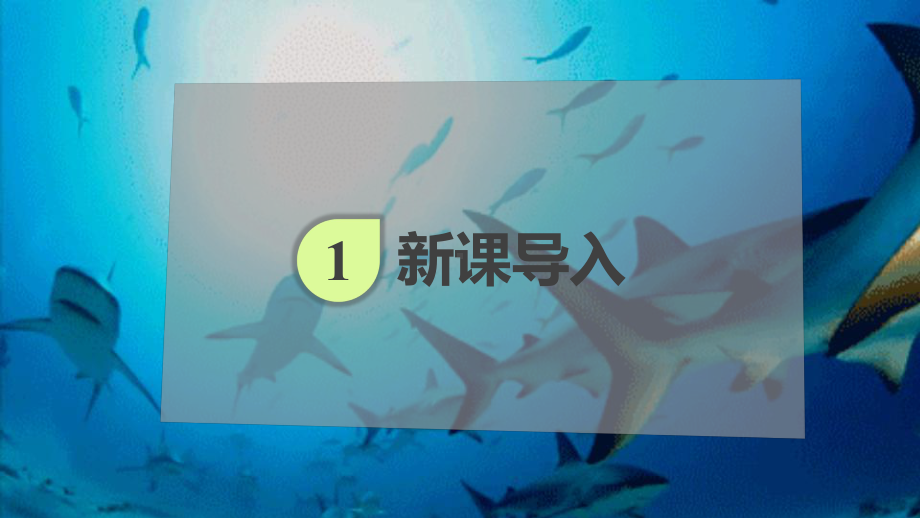 1.1.2生物学是探索生命的科学 ppt课件-2024新北师大版七年级上册《生物》.pptx_第2页