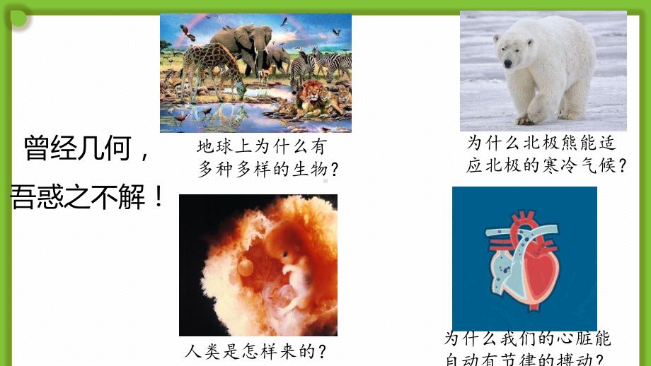 1.1.2生物学是探索生命的科学 ppt课件-2024新北师大版七年级上册《生物》.pptx_第3页