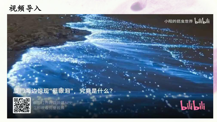 1.2.2单细胞生物ppt课件-2024新苏教版七年级上册《生物》.pptx_第3页