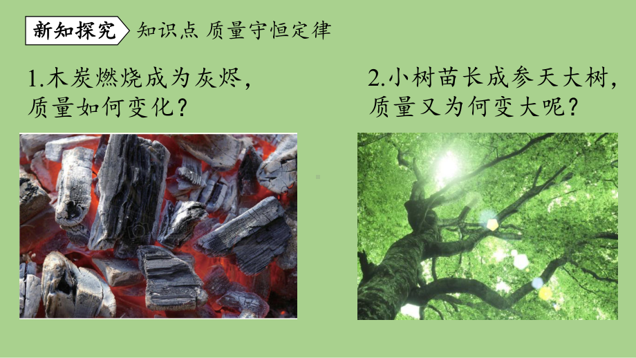 鲁教九（上）第五单元 第一节 化学反应中的质量守恒.pptx_第3页