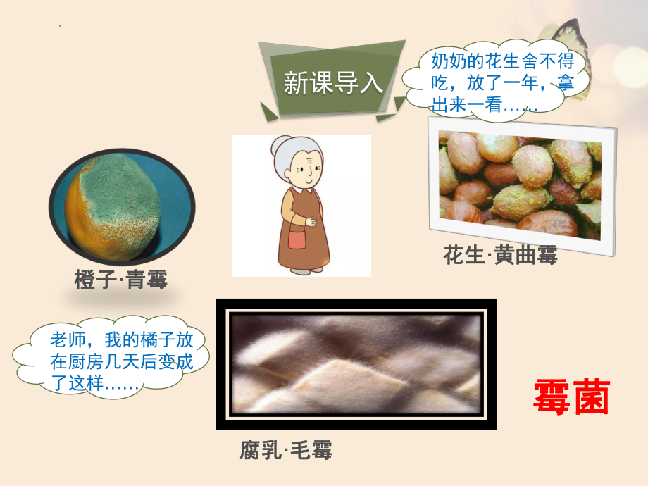 5.1真菌、细菌和病毒（第一课时）ppt课件-2024新苏教版七年级上册《生物》.pptx_第2页