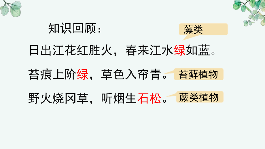 2.3.2 种子植物同步教学ppt课件（苏教版2024）-2024新苏教版七年级上册《生物》.pptx_第2页