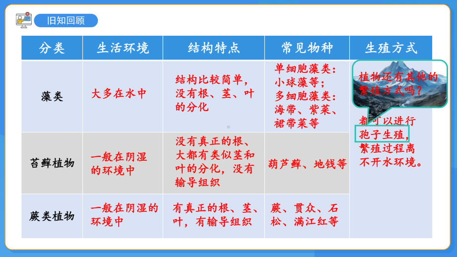 3.2 种子植物ppt课件-2024新苏教版七年级上册《生物》.pptx_第3页