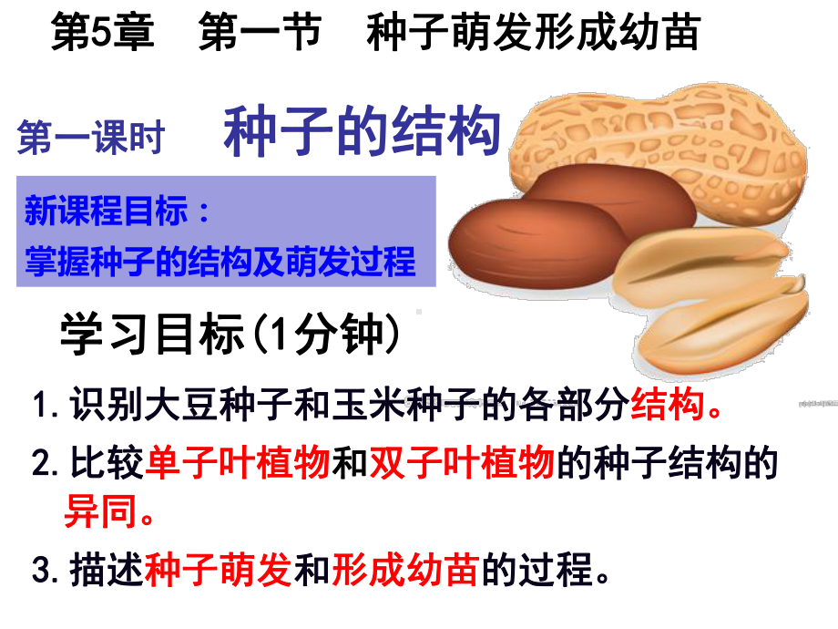 5.1.1种子的结构 ppt课件-2024新北师大版七年级上册《生物》.pptx_第1页