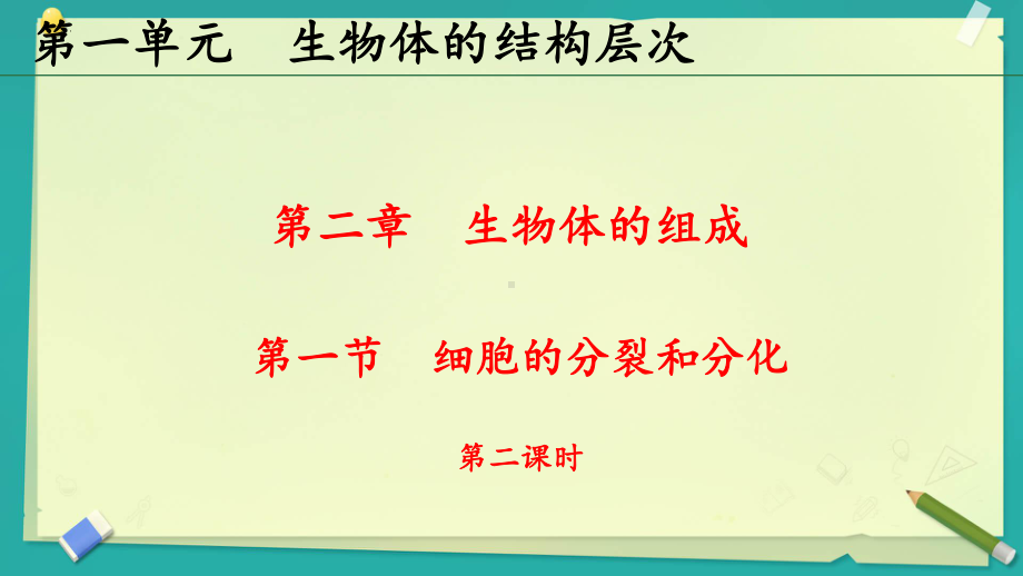 1.2.1细胞的分裂和分化ppt课件-2024新苏教版七年级上册《生物》.pptx_第1页