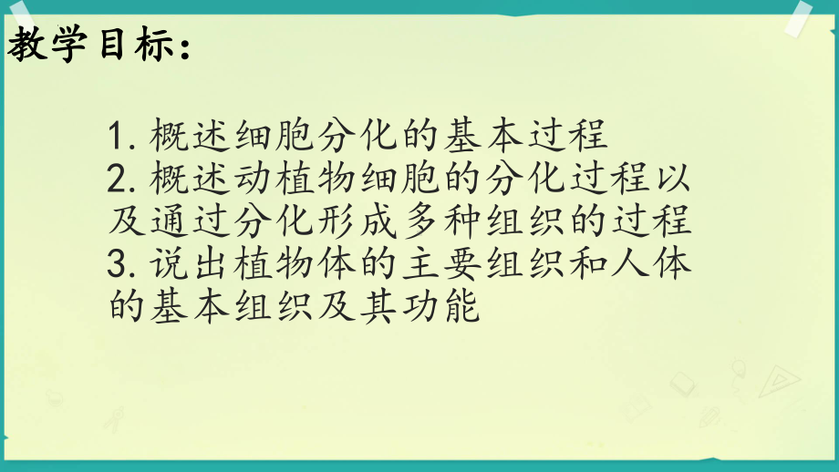 1.2.1细胞的分裂和分化ppt课件-2024新苏教版七年级上册《生物》.pptx_第2页