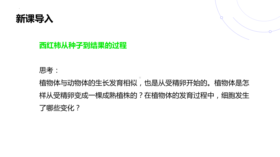 2.3.2 细胞分化形成组织（第2课时）ppt课件-2024新北师大版七年级上册《生物》.pptx_第3页