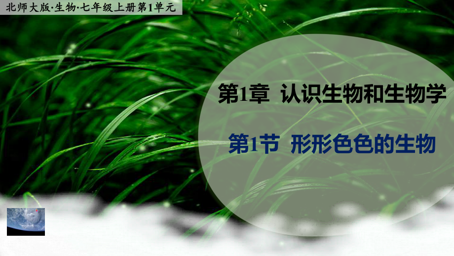 1.1.1 形形色色的生物 ppt课件-2024新北师大版七年级上册《生物》.pptx_第1页