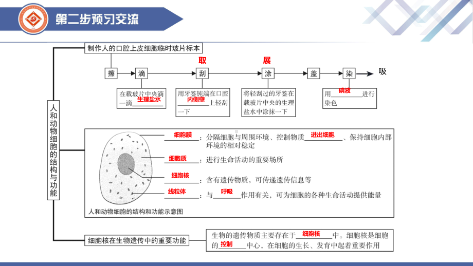 1.2、动物细胞的结构与功能ppt课件 -2024新苏教版七年级上册《生物》.pptx_第3页