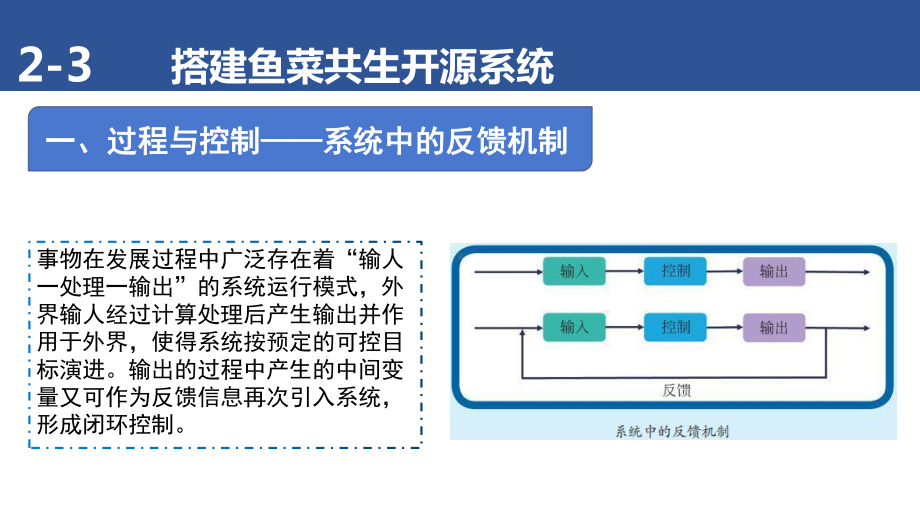 2.3 搭建鱼菜共生开源系统——把反馈引入控制系统 ppt课件(共19张PPT)-2024新清华大学版五年级上册《信息科技》.pptx_第3页