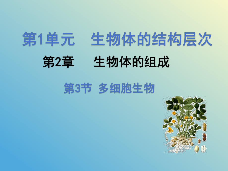 2.3多细胞生物ppt课件-2024新苏教版七年级上册《生物》.pptx_第1页