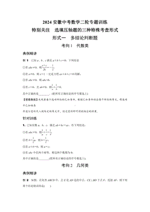 2024安徽中考数学二轮专题训练 特别关注选填压轴题的三种特殊考查形式 (含答案).docx