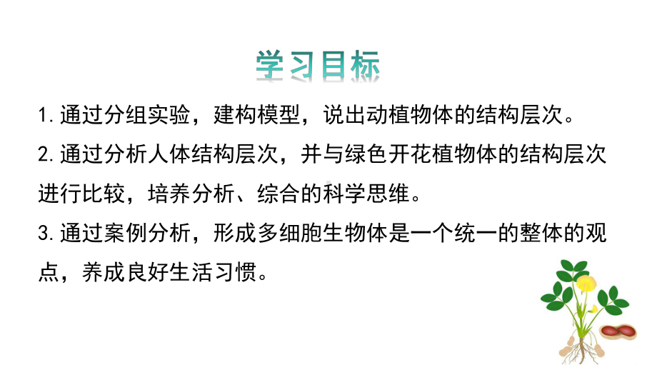 1.2.3多细胞生物ppt课件-2024新苏教版七年级上册《生物》.pptx_第3页