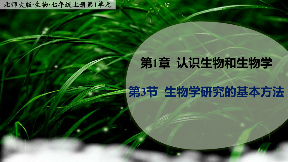 1.3生物学研究的基本方法ppt课件-2024新北师大版七年级上册《生物》.pptx_第1页