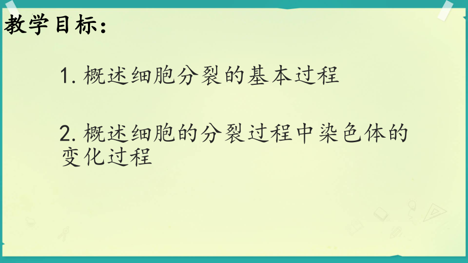 1.2.1 细胞的分裂和分化ppt课件-2024新苏教版七年级上册《生物》.pptx_第2页