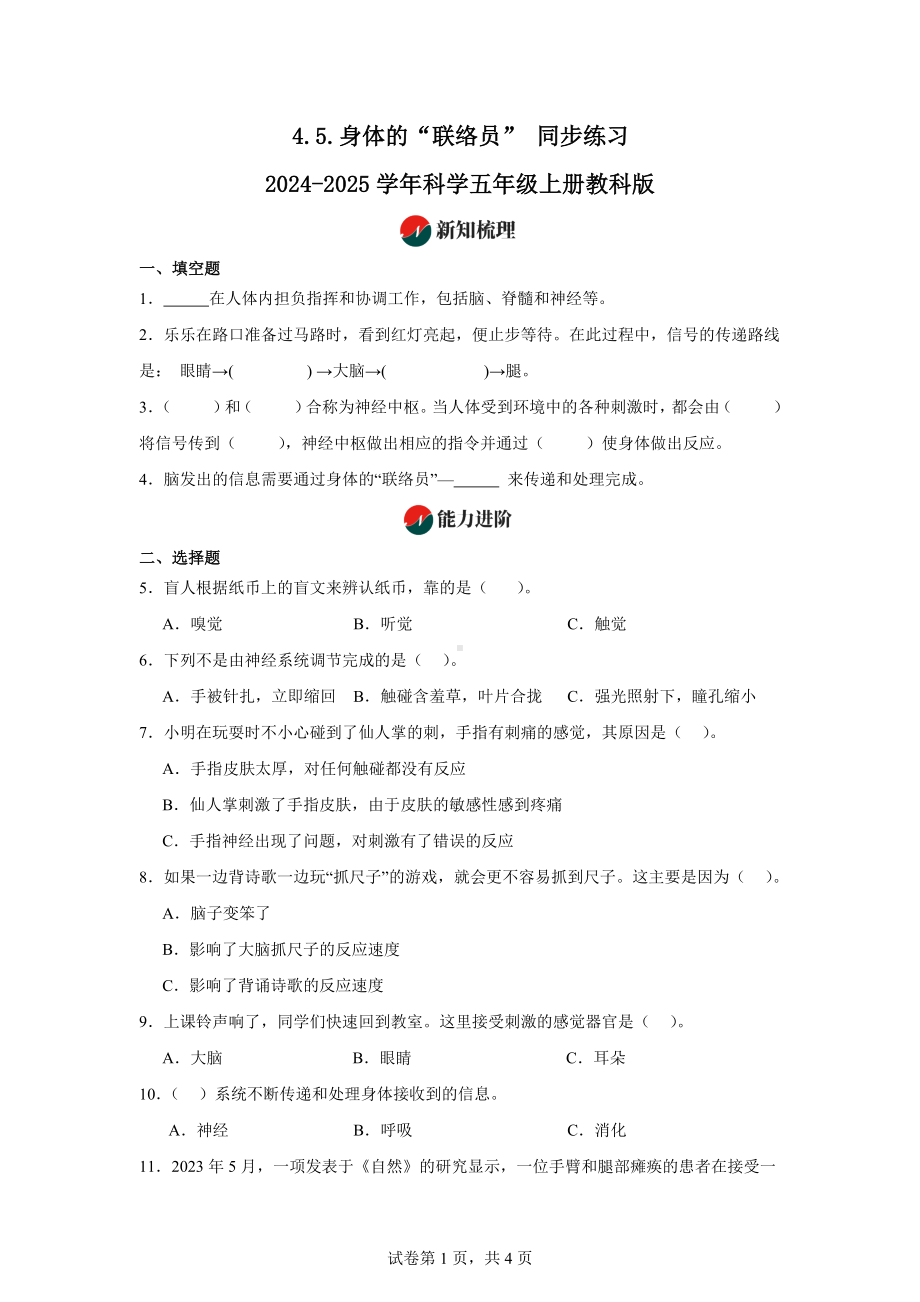 4.5.身体的“联络员”同步练习-2024-2025学年科学五年级上册教科版.docx_第1页