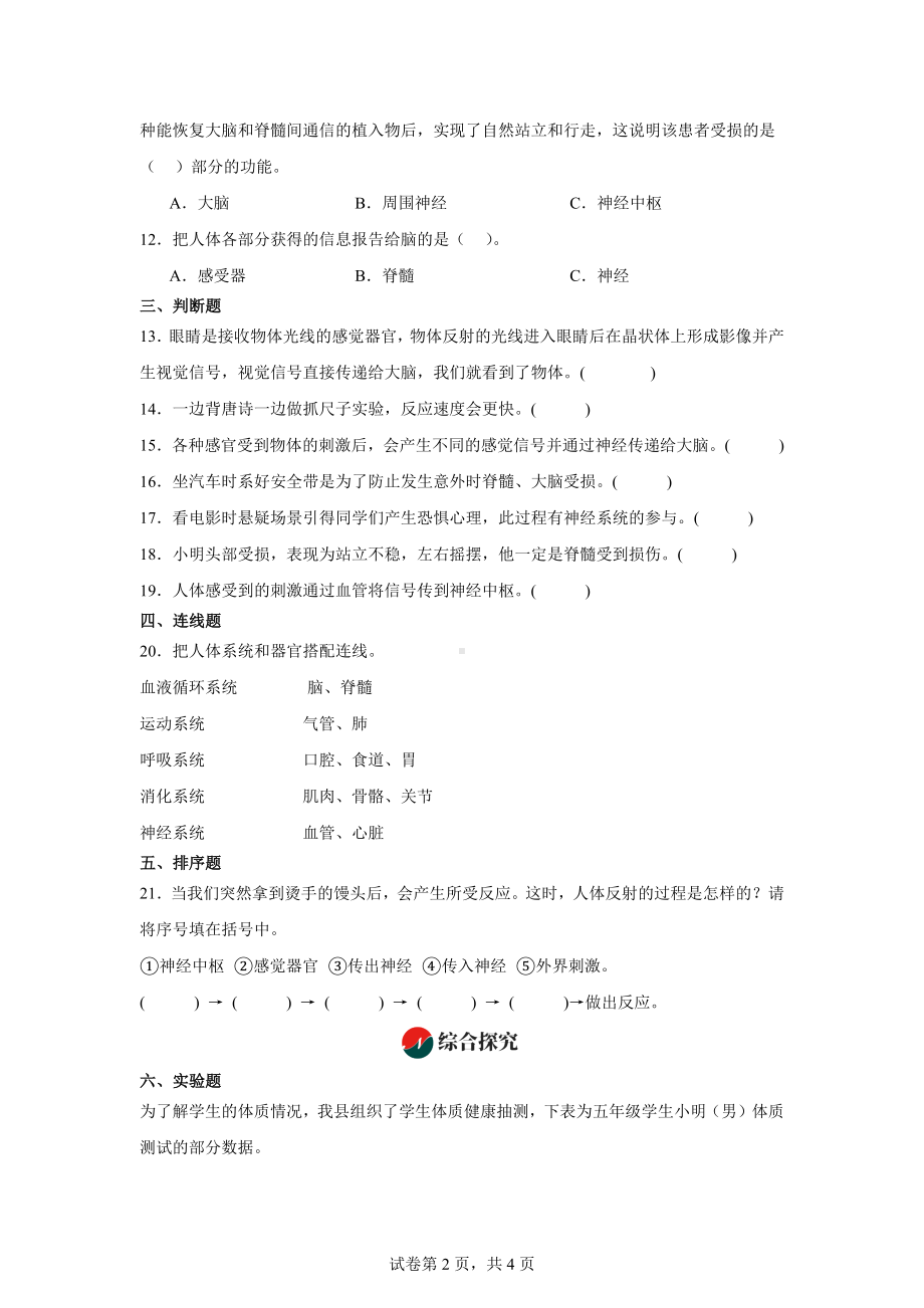 4.5.身体的“联络员”同步练习-2024-2025学年科学五年级上册教科版.docx_第2页