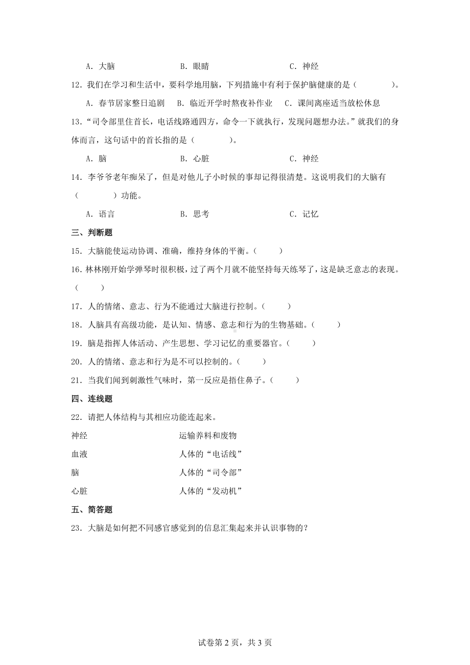 4.4.身体的“总指挥”同步练习-2024-2025学年科学五年级上册教科版.docx_第2页