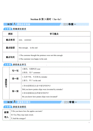 人教新目标版九年级全一册英语Unit 6 Section B 第3课时(导学案).doc