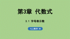 3.1 字母表示数（课件）苏科版（2024）数学七年级上册.pptx