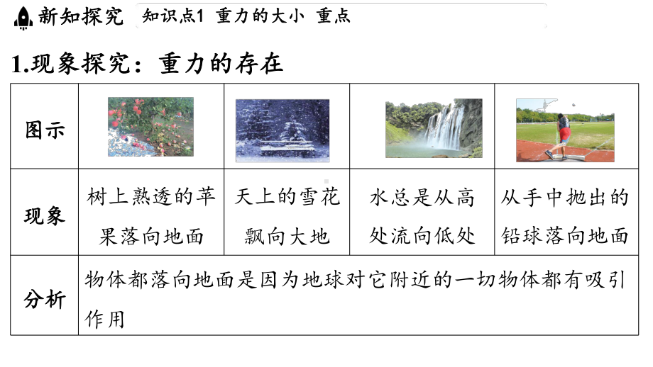 6.3 来自地球的力（课件）沪科版（2024）物理八年级上册.pptx_第3页