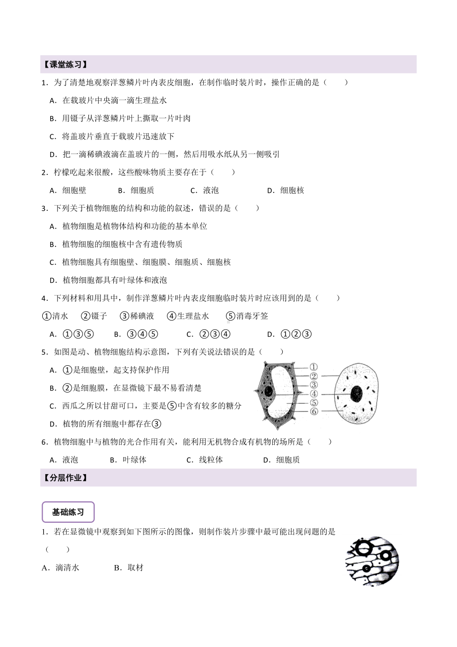 1.1.3 植物细胞的结构与功能导学案-2024新苏教版七年级上册《生物》.docx_第3页