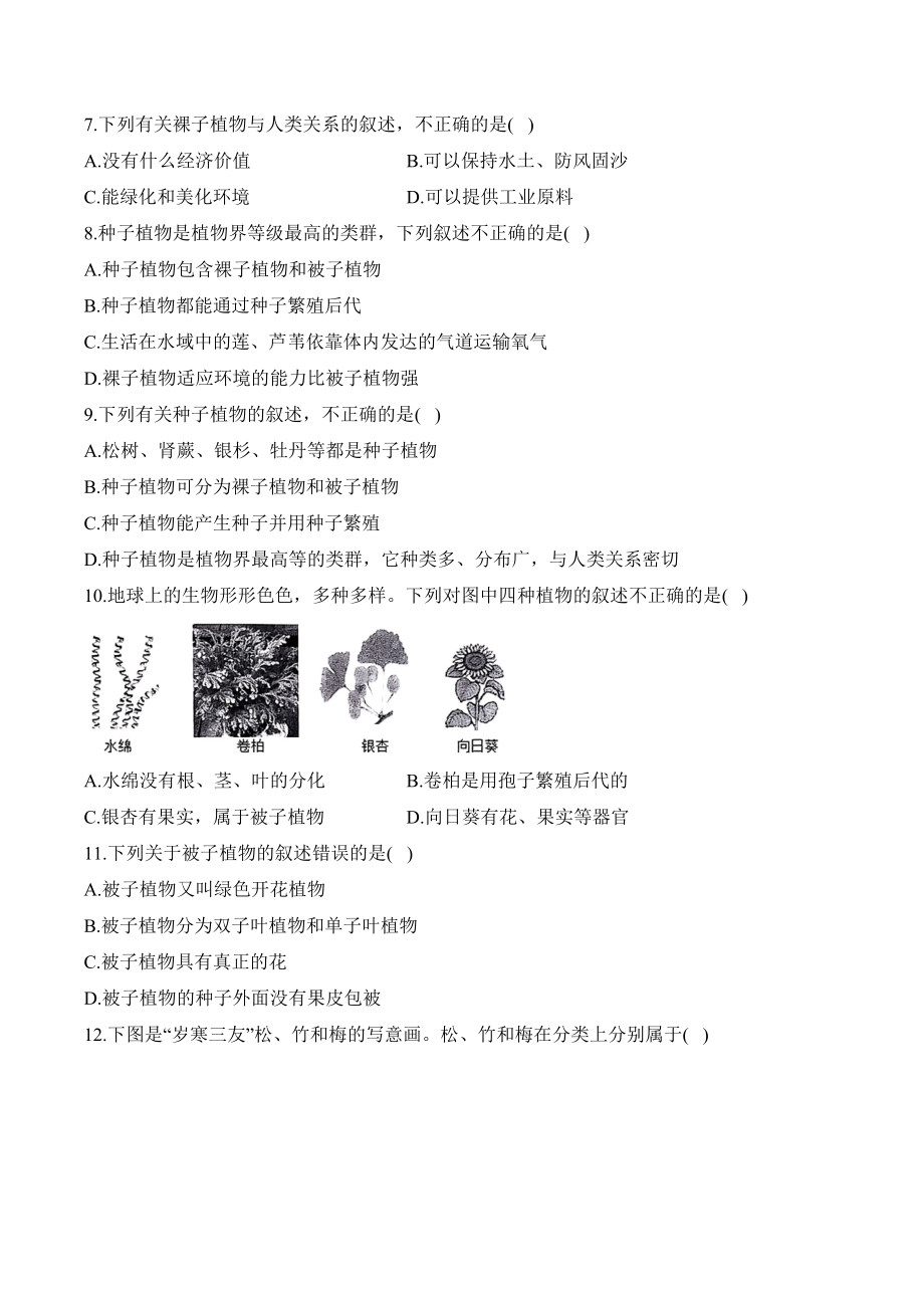 2.3.2种子植物课时优化训练-2024新苏教版七年级上册《生物》.docx_第2页