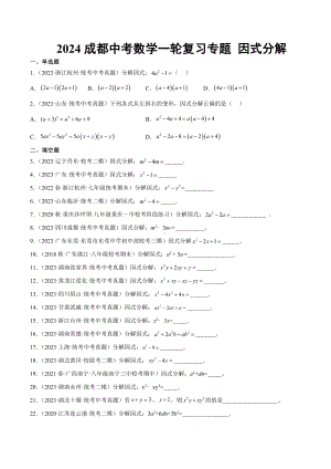 2024成都中考数学一轮复习专题 因式分解 (含解析).docx