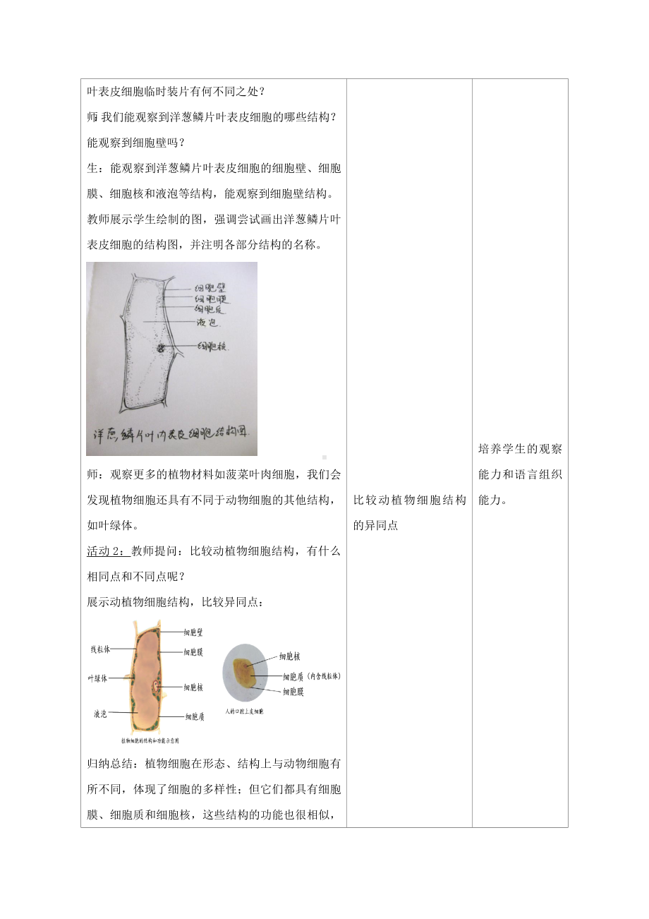 1.1.3植物细胞的结构与功能教案 -2024新苏教版七年级上册《生物》.docx_第3页