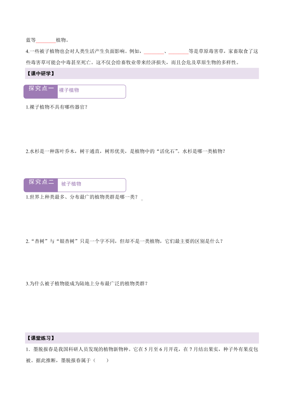 2.3.2种子植物 导学案-2024新苏教版七年级上册《生物》.docx_第2页