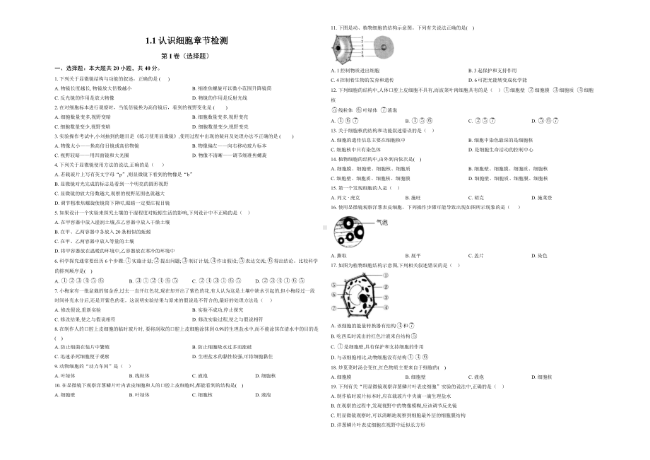 1.1认识细胞章节检测-2024新苏教版七年级上册《生物》.docx_第1页