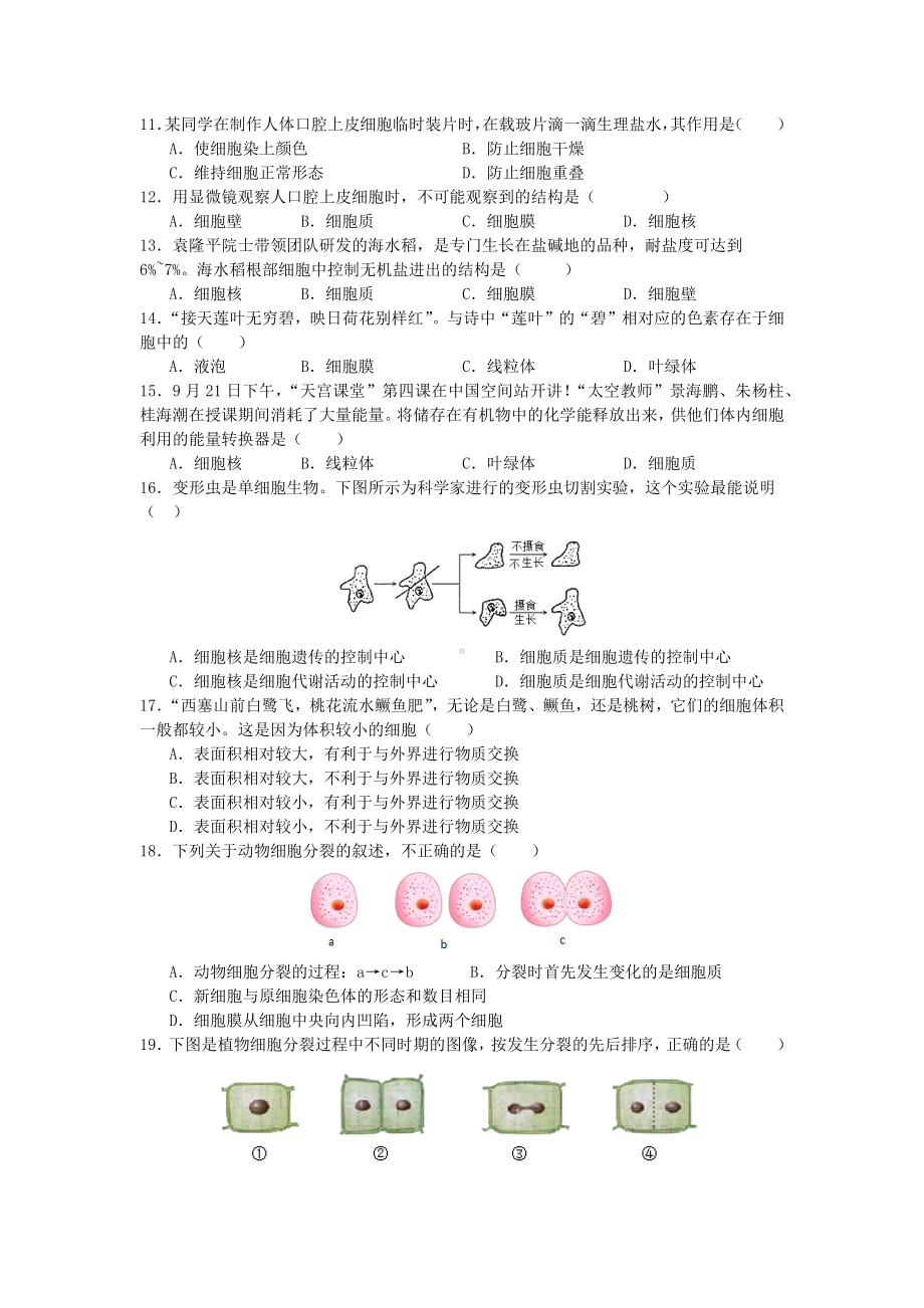 2024新北师大版七年级上册《生物》期中考试模拟练习（1-3章）.docx_第2页