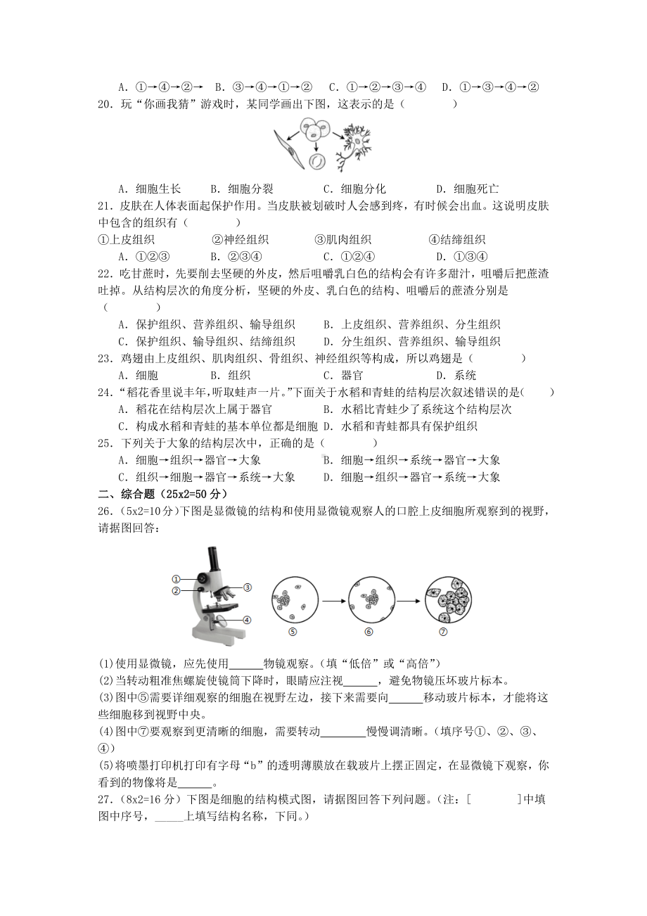 2024新北师大版七年级上册《生物》期中考试模拟练习（1-3章）.docx_第3页