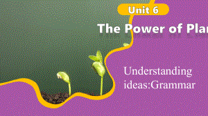 Unit6 Understanding ideas Grammar（ppt课件）-2024新外研版七年级上册《英语》.pptx